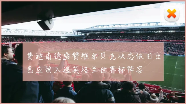 费迪南德盛赞维尔贝克状态依旧出色应该入选英格兰世界杯阵容