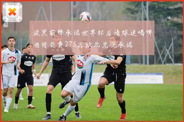 波黑前锋承诺世界杯后请球迷喝啤酒将花费275万欧元兑现承诺